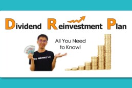 What is Dividend Reinvestment Plan (DRIP/DRP))