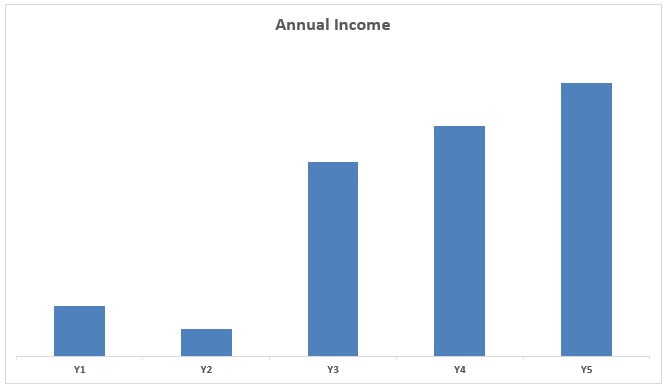 Annual Income as a self-employed
