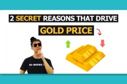 Gold Investment No Money Lah - What drive gold price?