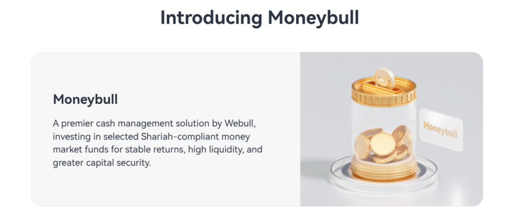 Webull Moneybull Review